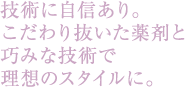 技術に自信あり。こだわり抜いた薬剤と巧みな技術で理想のスタイルに。